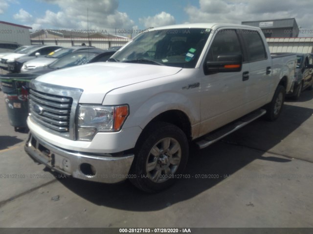 Photo 1 VIN: 1FTEW1CM4BFD08961 - FORD F-150 