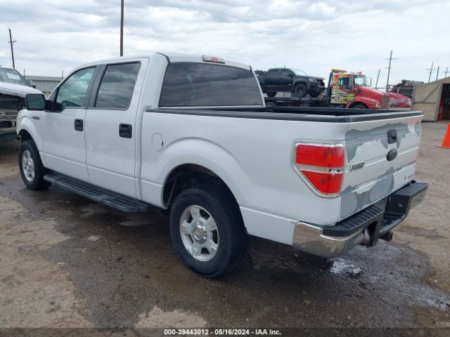 Photo 2 VIN: 1FTEW1CM5BKD28207 - FORD F-150 