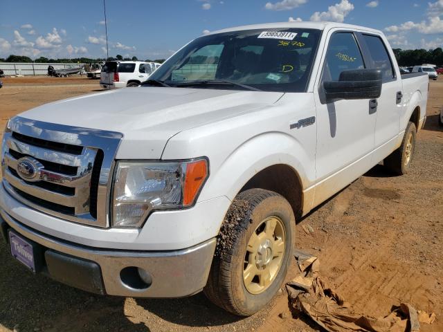 Photo 1 VIN: 1FTEW1CM6BFB03870 - FORD F150 SUPER 