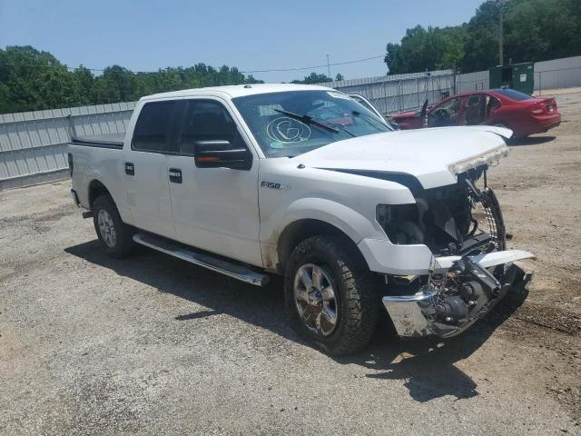 Photo 3 VIN: 1FTEW1CM6DFD75094 - FORD F150 SUPER 