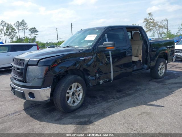 Photo 1 VIN: 1FTEW1CM7BFB39101 - FORD F-150 