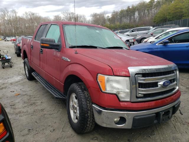 Photo 3 VIN: 1FTEW1CM7EKE26627 - FORD F150 SUPER 