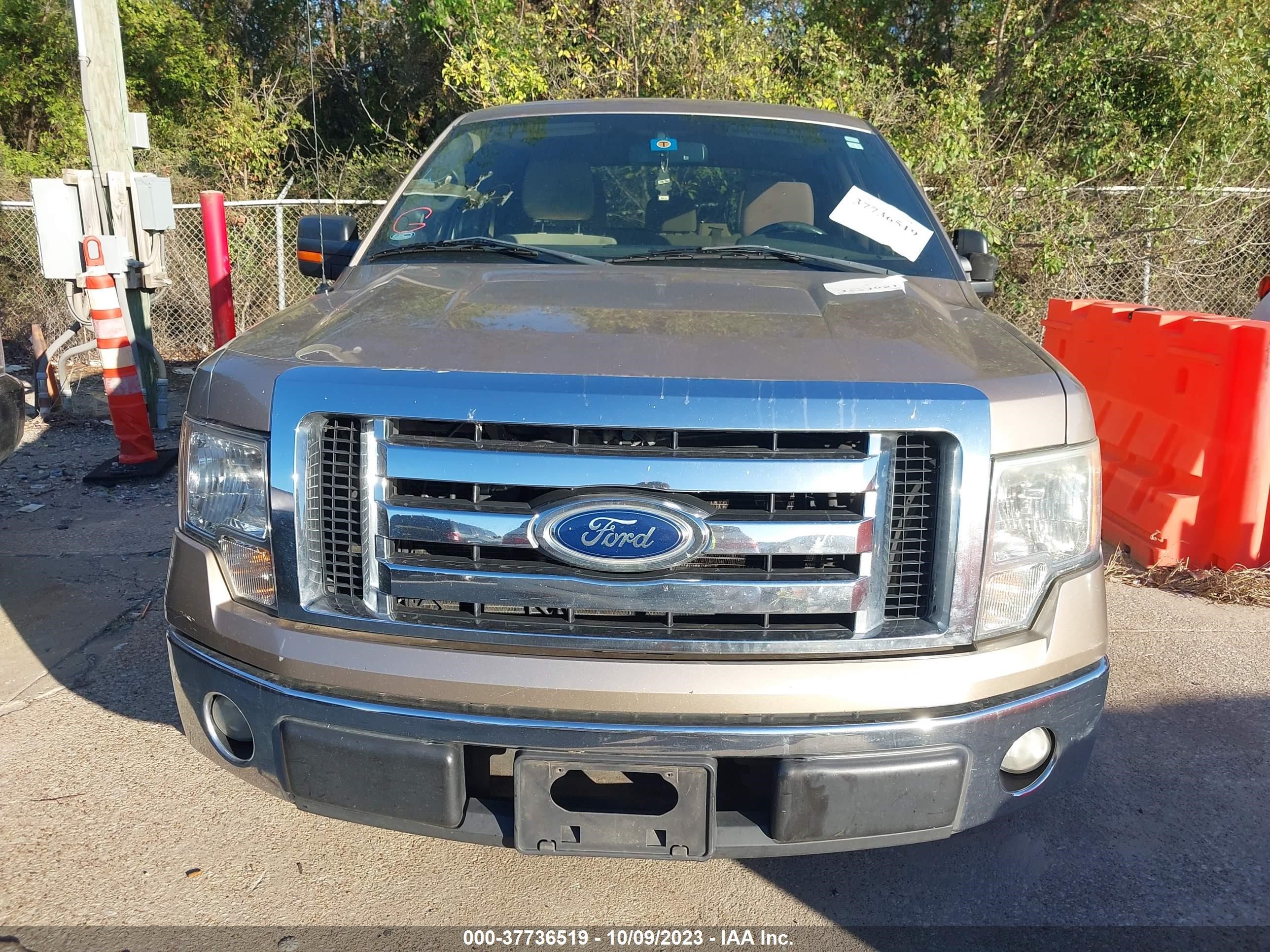 Photo 11 VIN: 1FTEW1CM9CKD29961 - FORD F-150 