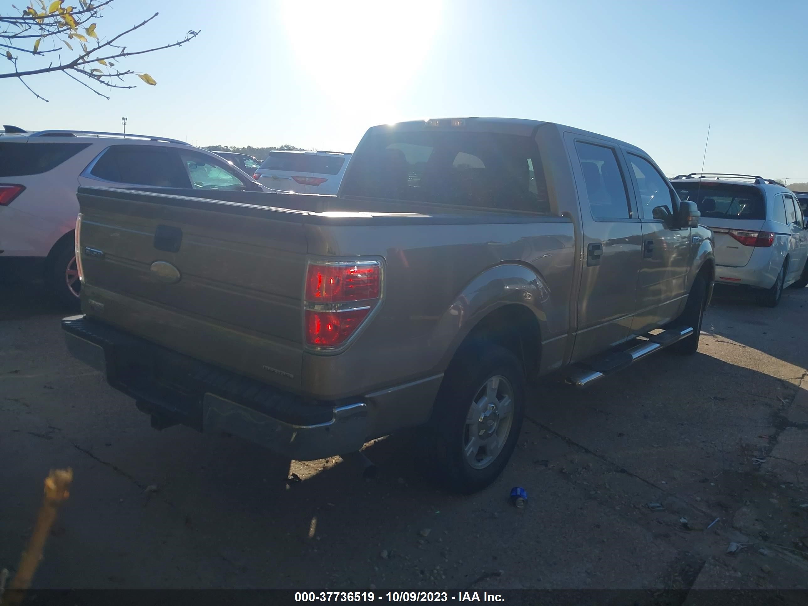 Photo 3 VIN: 1FTEW1CM9CKD29961 - FORD F-150 