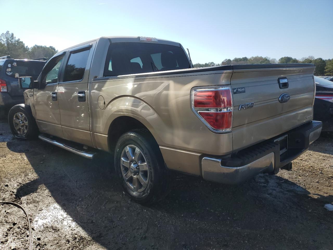 Photo 1 VIN: 1FTEW1CM9DFA77770 - FORD F-150 