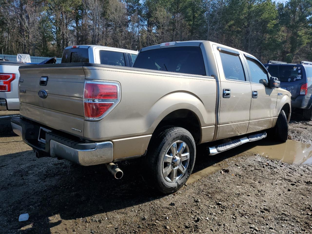 Photo 2 VIN: 1FTEW1CM9DFA77770 - FORD F-150 