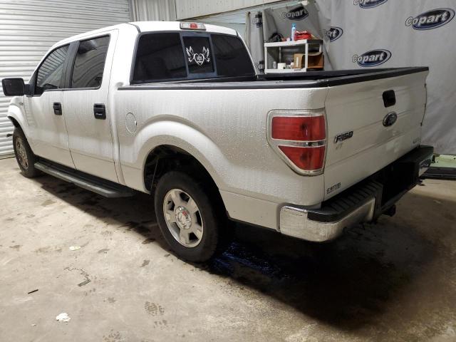 Photo 1 VIN: 1FTEW1CM9DKE24702 - FORD F150 SUPER 