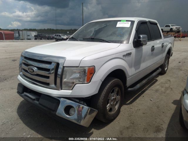 Photo 1 VIN: 1FTEW1CMXCKD18516 - FORD F-150 