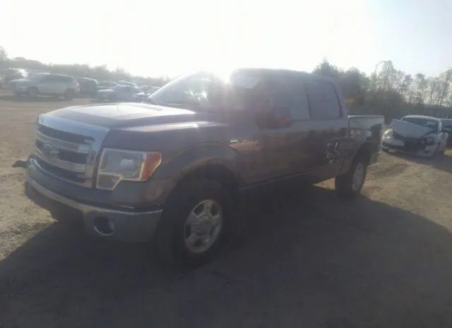 Photo 1 VIN: 1FTEW1CMXDFA53753 - FORD F-150 