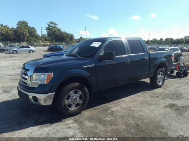 Photo 1 VIN: 1FTEW1CMXDFE03110 - FORD F-150 