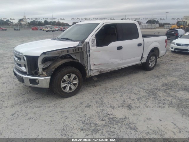 Photo 1 VIN: 1FTEW1CP0FFB11592 - FORD F-150 