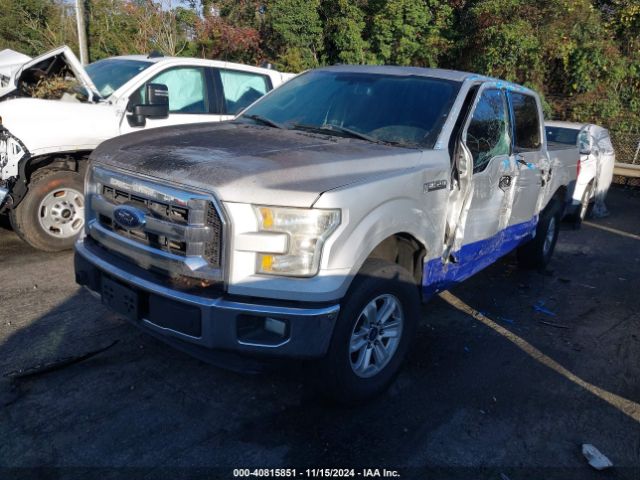 Photo 1 VIN: 1FTEW1CP0FKE76040 - FORD F-150 