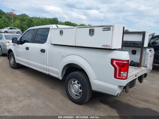 Photo 2 VIN: 1FTEW1CP0GFB76203 - FORD F-150 