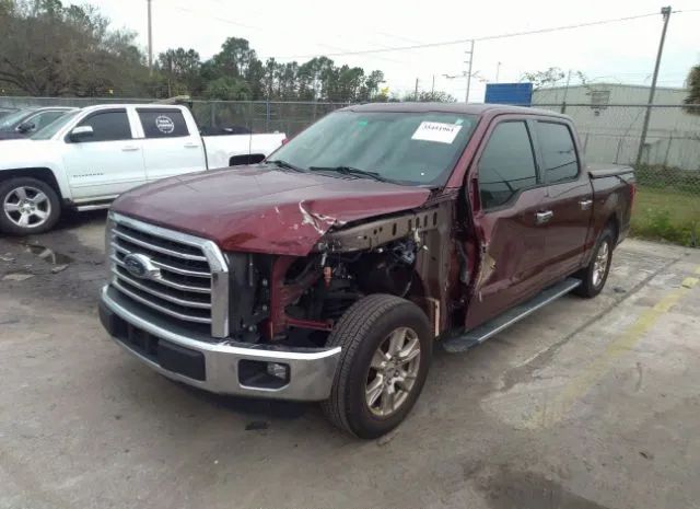 Photo 5 VIN: 1FTEW1CP0GFD50772 - FORD F-150 