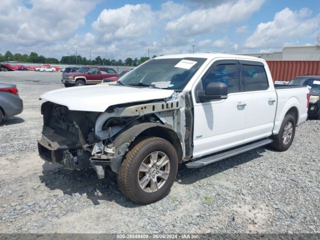 Photo 1 VIN: 1FTEW1CP0HFB85873 - FORD F-150 