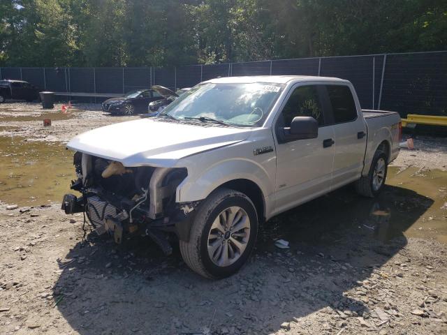 Photo 1 VIN: 1FTEW1CP0HKE46099 - FORD F150 SUPER 