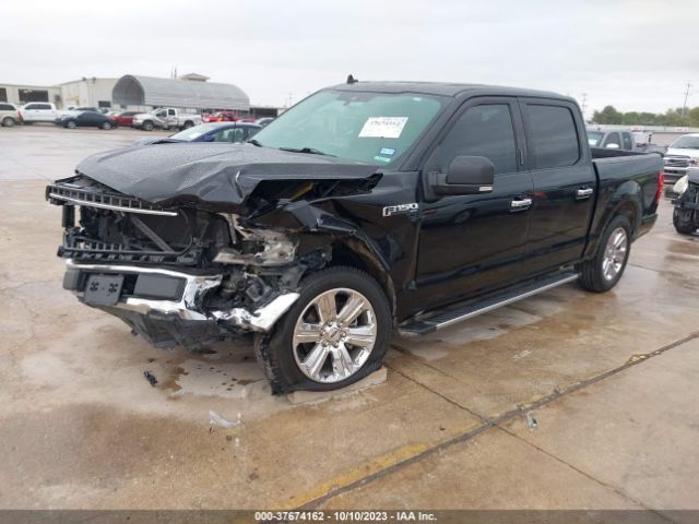 Photo 1 VIN: 1FTEW1CP0KKC96180 - FORD F-150 