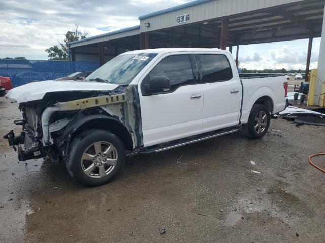 Photo 0 VIN: 1FTEW1CP0LKF51816 - FORD F-150 