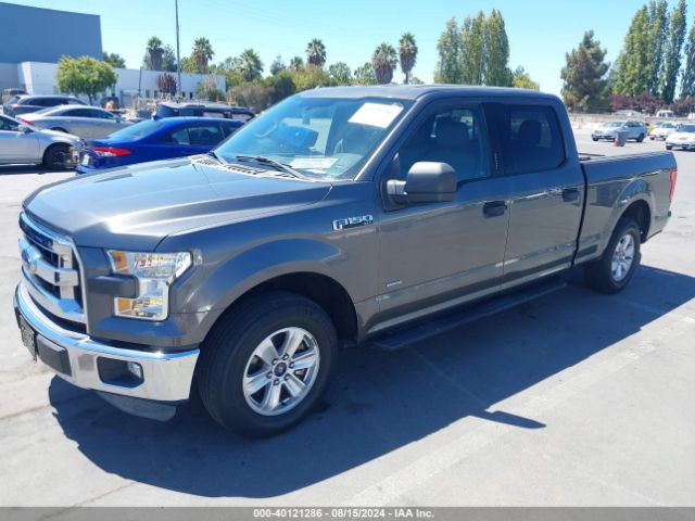 Photo 1 VIN: 1FTEW1CP1FFA61592 - FORD F-150 