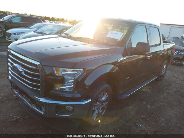 Photo 1 VIN: 1FTEW1CP1FFB76970 - FORD F-150 