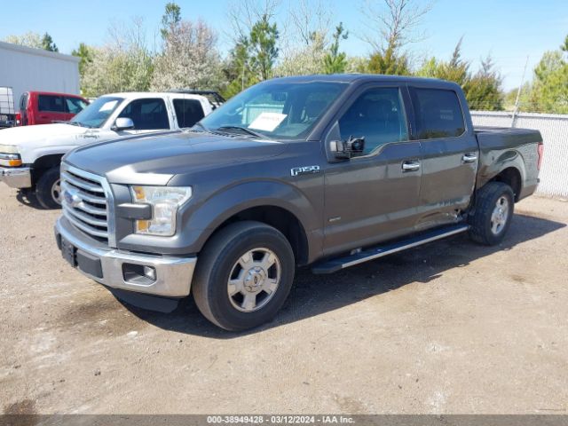 Photo 1 VIN: 1FTEW1CP1FKD72012 - FORD F-150 