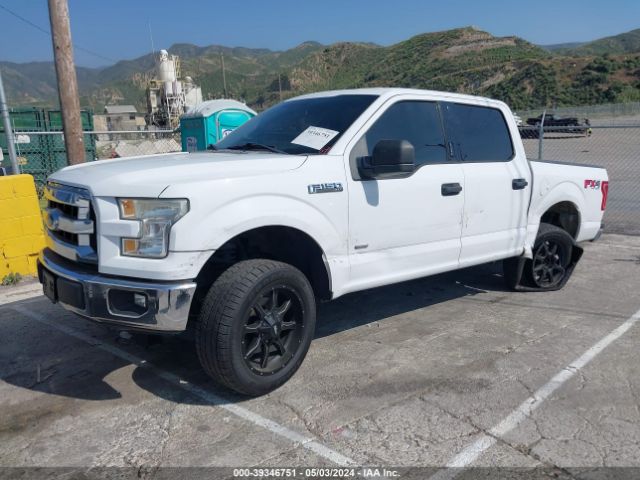 Photo 1 VIN: 1FTEW1CP1FKD99324 - FORD F-150 