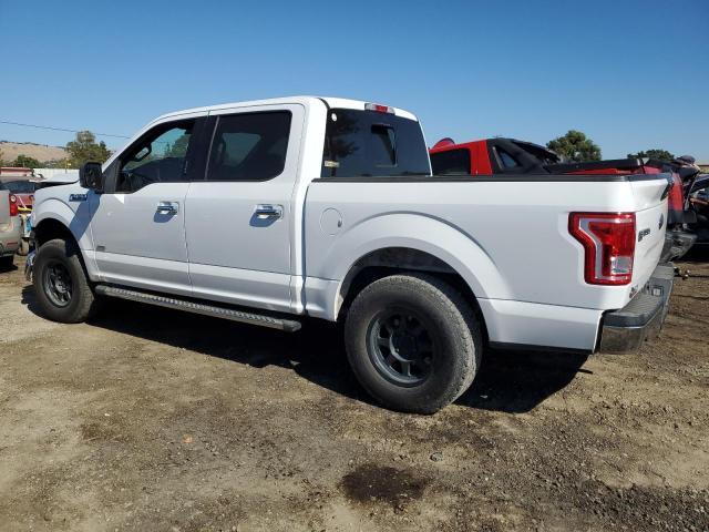 Photo 1 VIN: 1FTEW1CP1HKC41455 - FORD F150 SUPER 