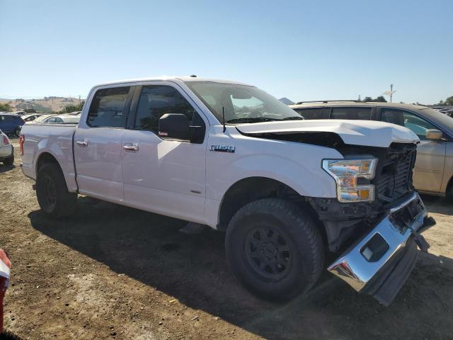 Photo 3 VIN: 1FTEW1CP1HKC41455 - FORD F150 SUPER 