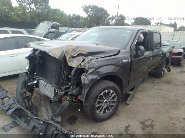 Photo 1 VIN: 1FTEW1CP1KKD13049 - FORD F-150 