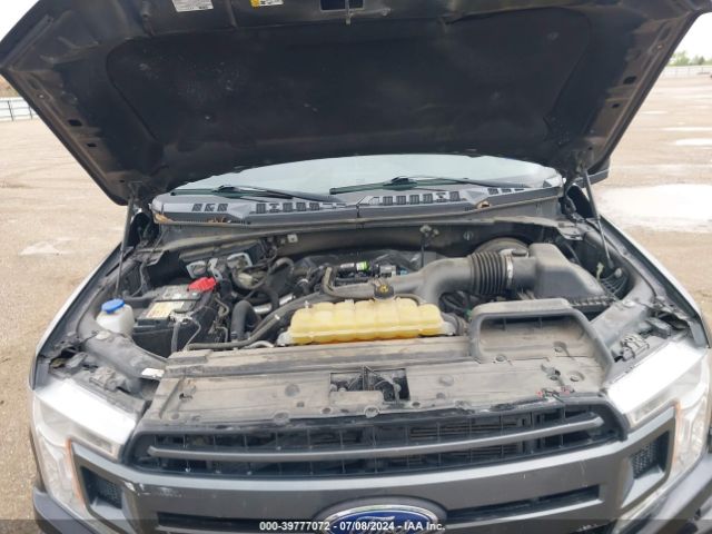 Photo 9 VIN: 1FTEW1CP1LKD73026 - FORD F-150 