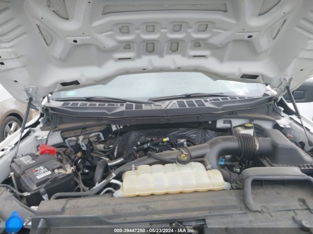 Photo 9 VIN: 1FTEW1CP1MKD17475 - FORD F150 