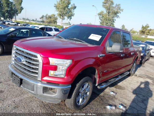 Photo 1 VIN: 1FTEW1CP2FKF05781 - FORD F-150 