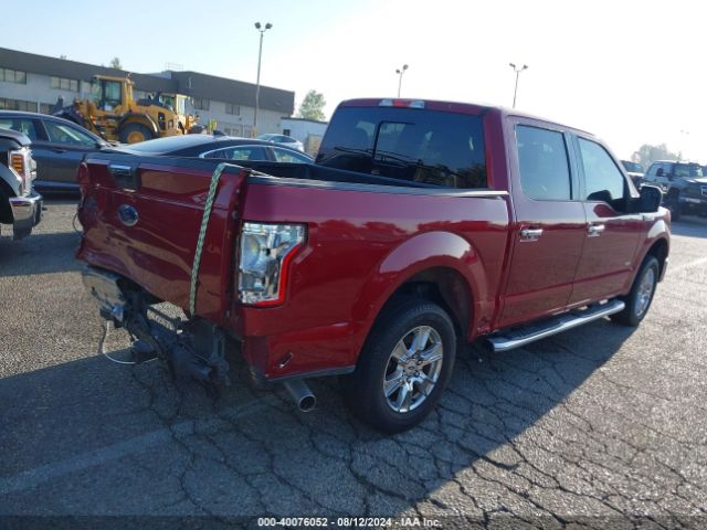 Photo 3 VIN: 1FTEW1CP2FKF05781 - FORD F-150 