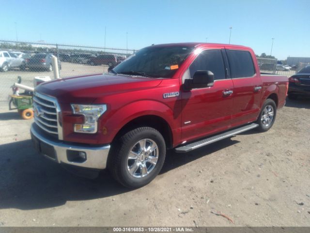 Photo 1 VIN: 1FTEW1CP2GKF95368 - FORD F-150 