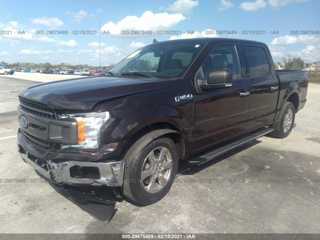 Photo 1 VIN: 1FTEW1CP2KKD54807 - FORD F-150 