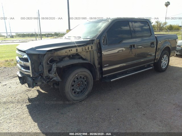 Photo 1 VIN: 1FTEW1CP3FKD95288 - FORD F-150 