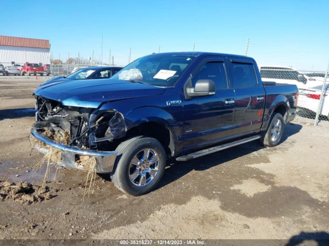 Photo 1 VIN: 1FTEW1CP3FKE80437 - FORD F-150 