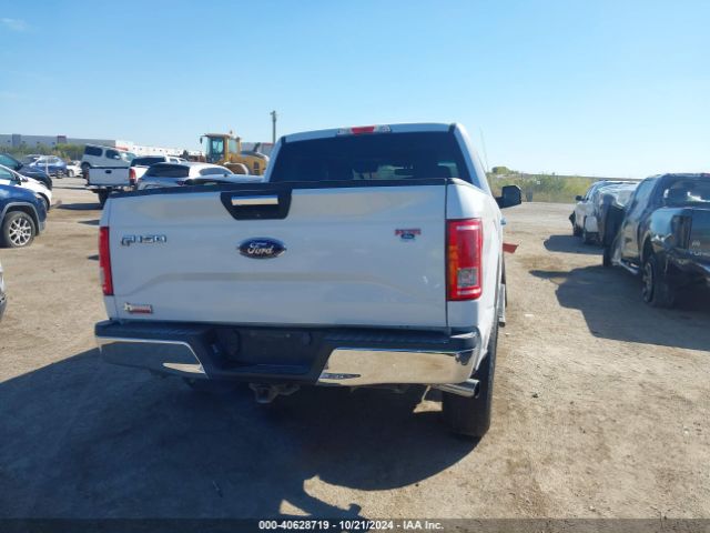 Photo 3 VIN: 1FTEW1CP3GKF80989 - FORD F-150 