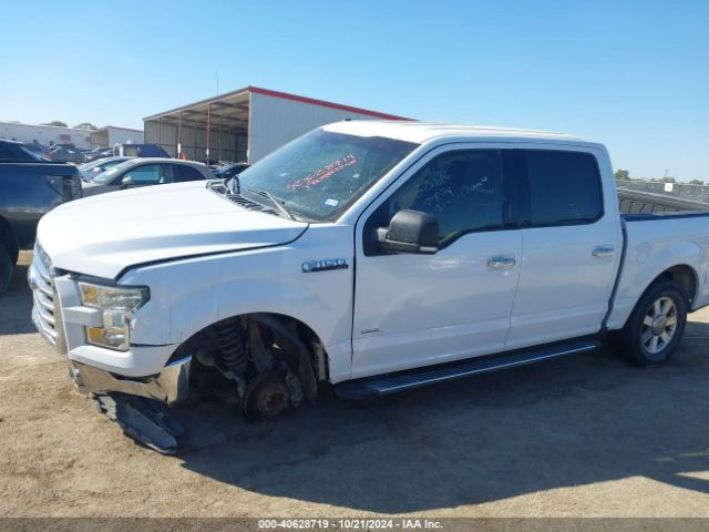 Photo 5 VIN: 1FTEW1CP3GKF80989 - FORD F-150 