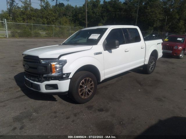 Photo 1 VIN: 1FTEW1CP3JKD56774 - FORD F-150 