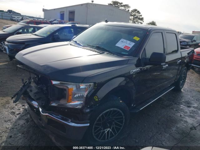 Photo 1 VIN: 1FTEW1CP3KFB00273 - FORD F-150 