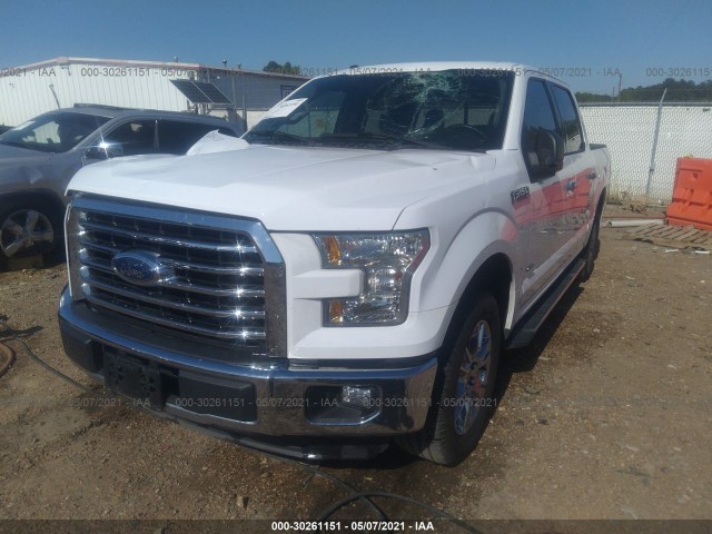 Photo 1 VIN: 1FTEW1CP4FKE96484 - FORD F-150 