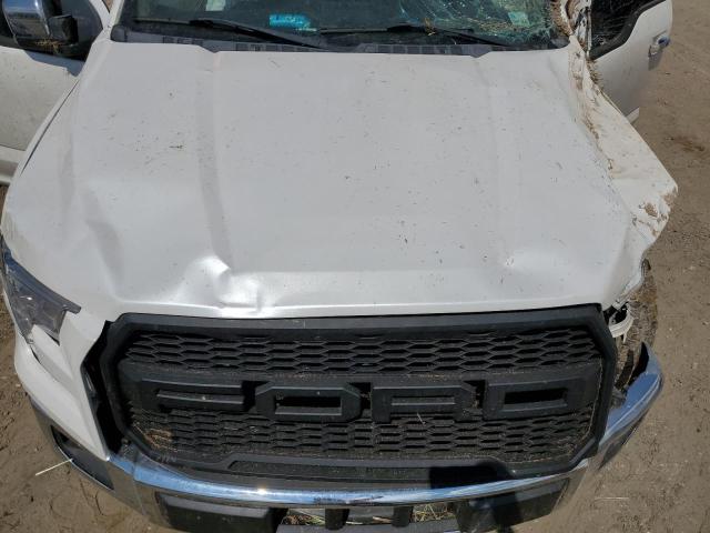 Photo 10 VIN: 1FTEW1CP4GFB81453 - FORD F150 SUPER 