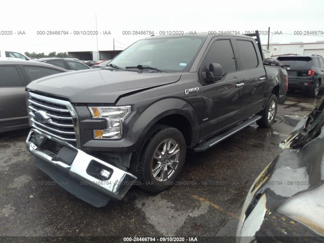 Photo 1 VIN: 1FTEW1CP4GKE65446 - FORD F-150 