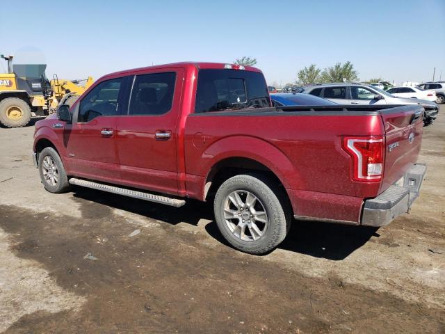 Photo 1 VIN: 1FTEW1CP4GKF50173 - FORD F150 SUPER 