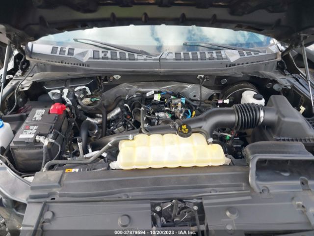 Photo 9 VIN: 1FTEW1CP4KFB57971 - FORD F-150 