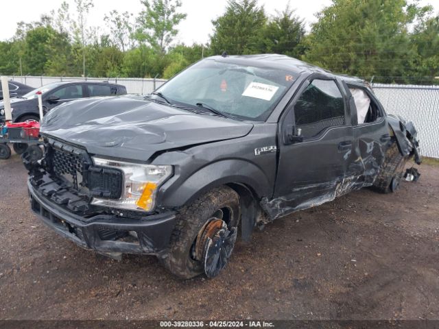 Photo 1 VIN: 1FTEW1CP4LKD30106 - FORD F-150 