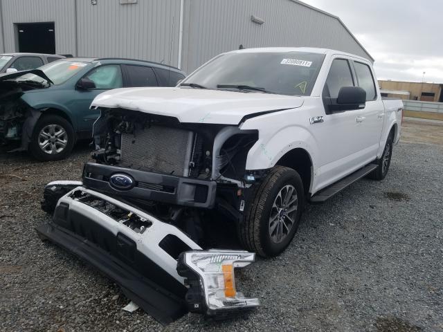 Photo 1 VIN: 1FTEW1CP4LKD85798 - FORD F150 SUPER 