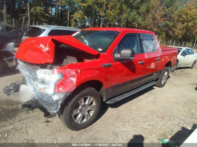 Photo 1 VIN: 1FTEW1CP5FFB79404 - FORD F-150 