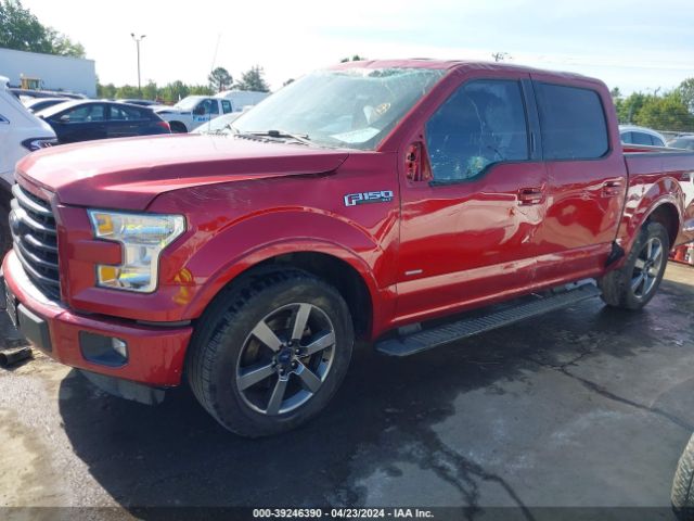 Photo 1 VIN: 1FTEW1CP5GKD77795 - FORD F150 